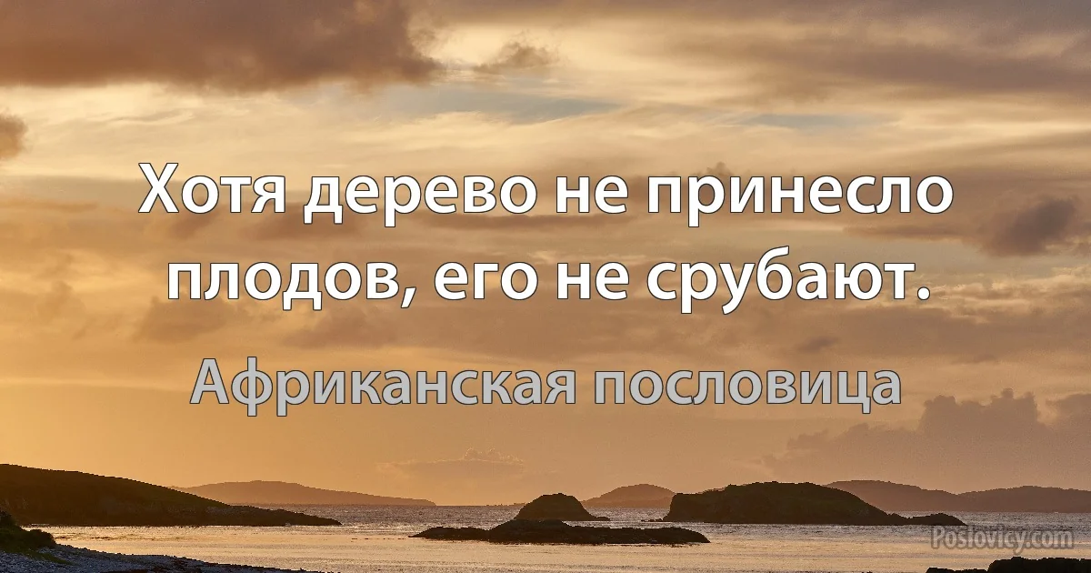 Хотя дерево не принесло плодов, его не срубают. (Африканская пословица)