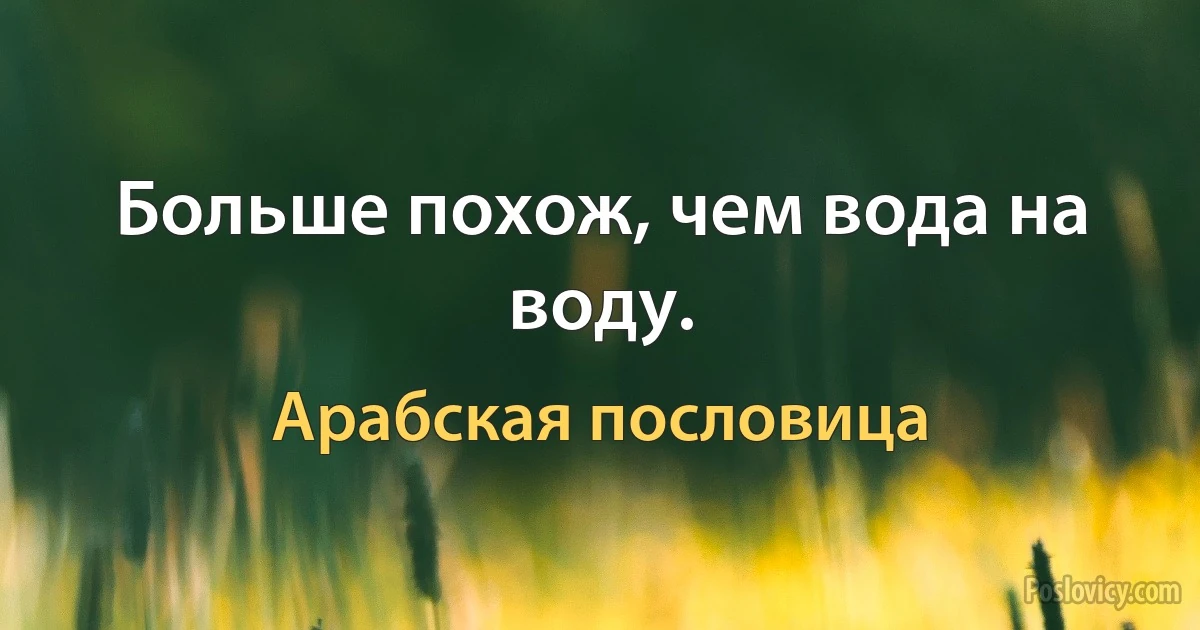 Больше похож, чем вода на воду. (Арабская пословица)