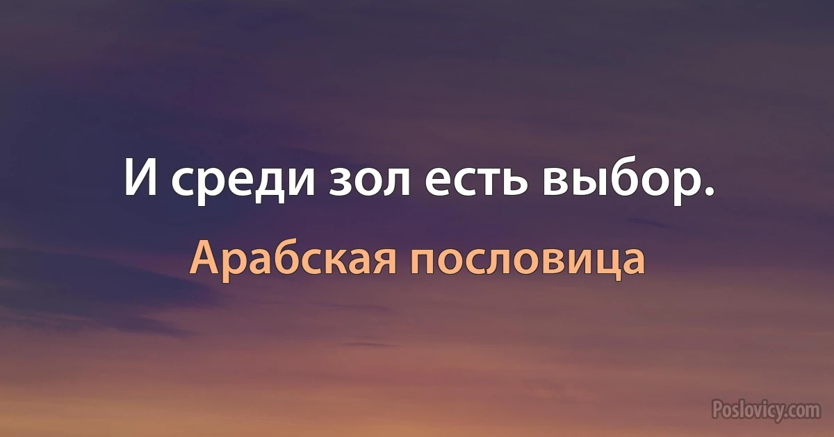 И среди зол есть выбор. (Арабская пословица)