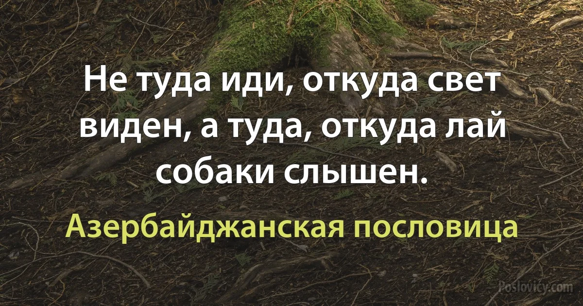 Не туда иди, откуда свет виден, а туда, откуда лай собаки слышен. (Азербайджанская пословица)