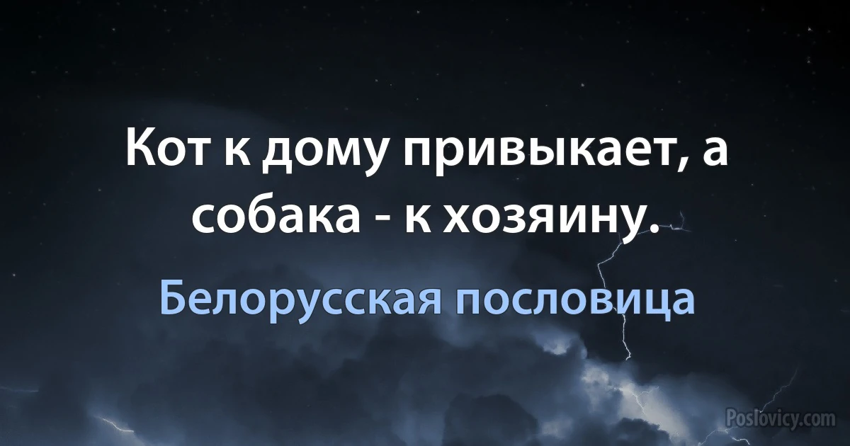 Кот к дому привыкает, а собака - к хозяину. (Белорусская пословица)