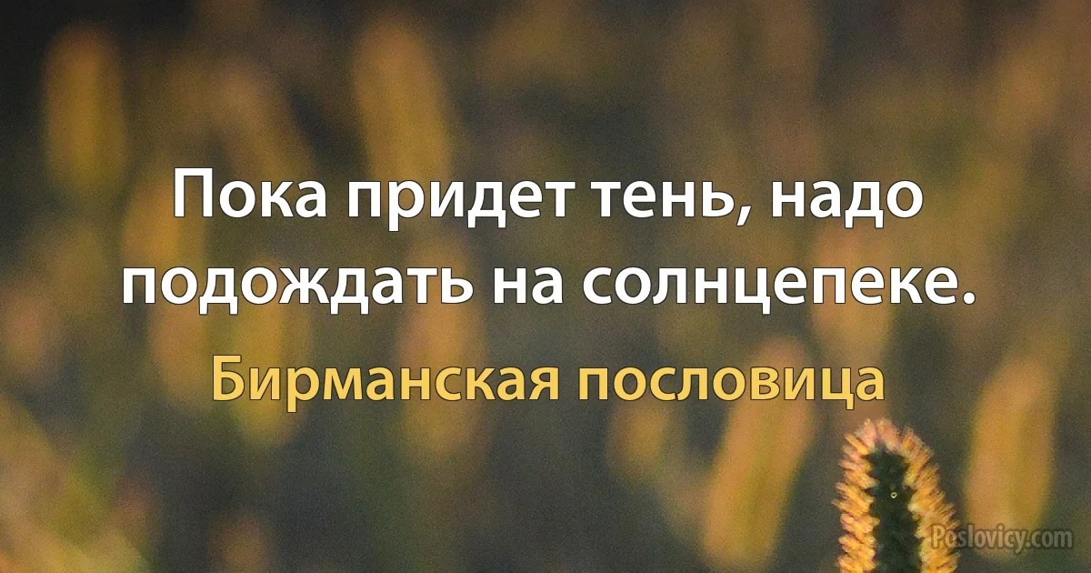 Пока придет тень, надо подождать на солнцепеке. (Бирманская пословица)