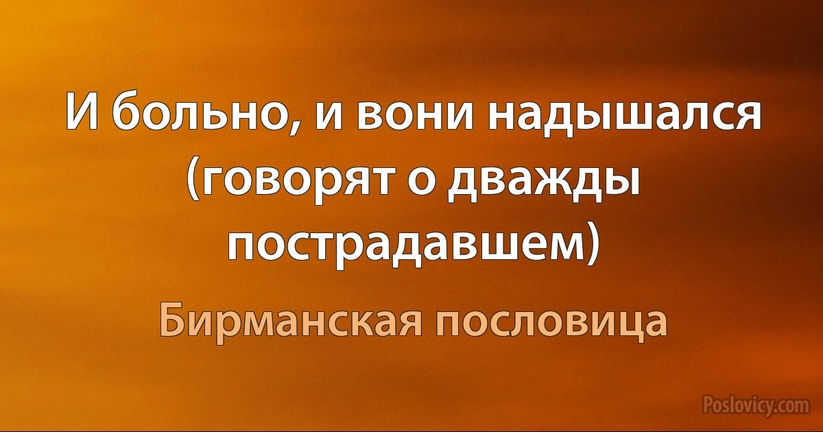 И больно, и вони надышался (говорят о дважды пострадавшем) (Бирманская пословица)