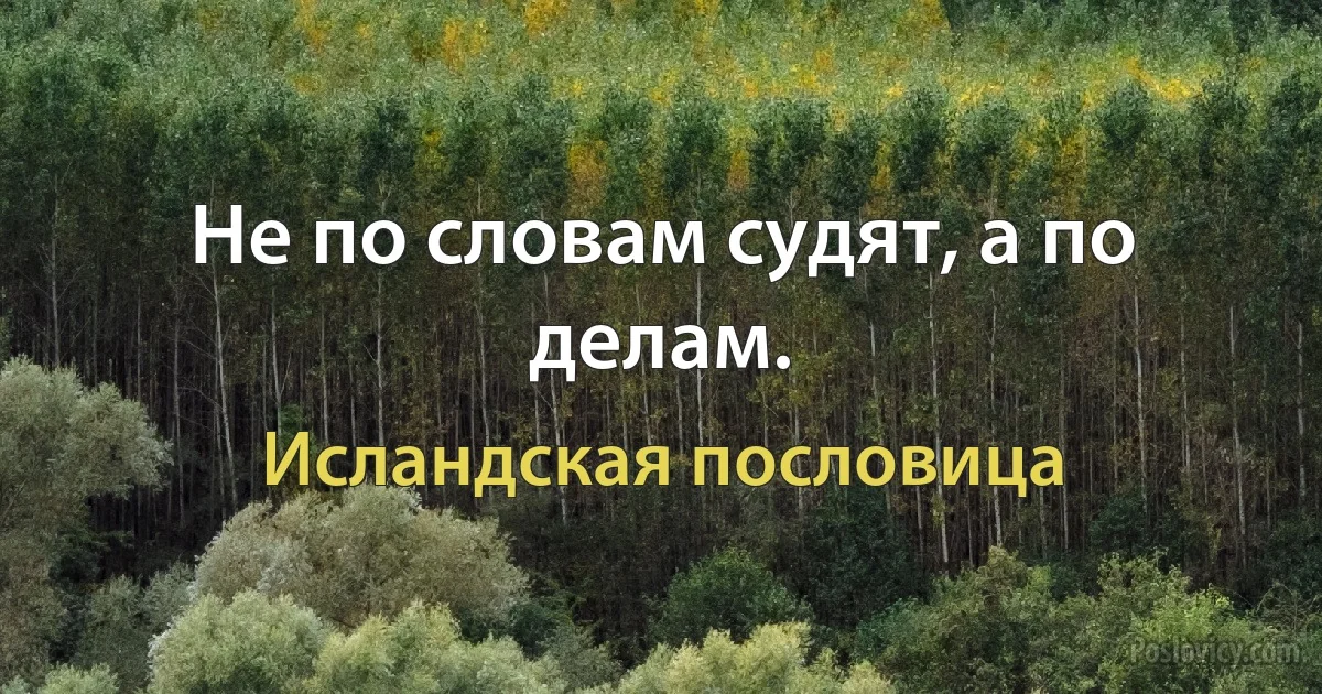 Не по словам судят, а по делам. (Исландская пословица)