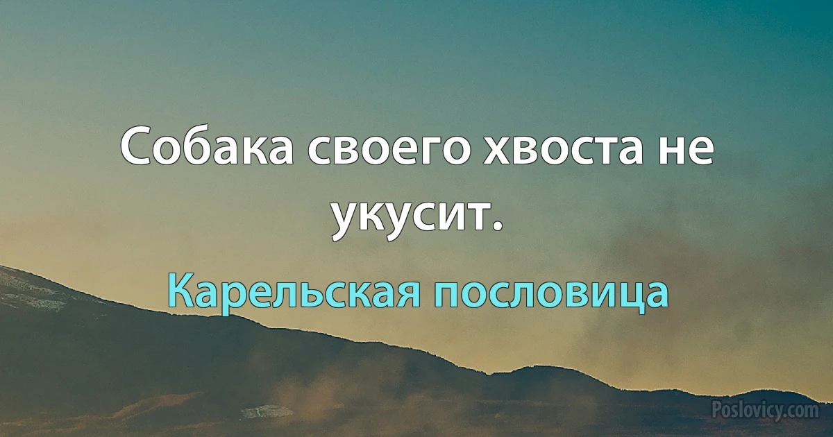 Собака своего хвоста не укусит. (Карельская пословица)