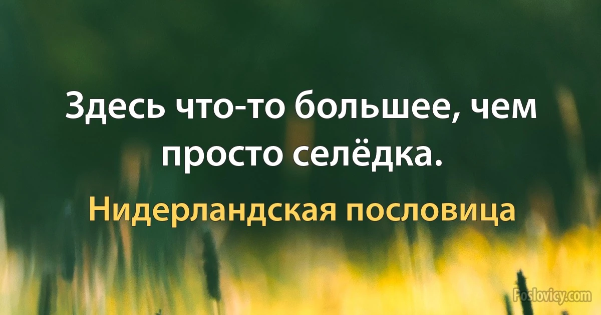 Здесь что-то большее, чем просто селёдка. (Нидерландская пословица)