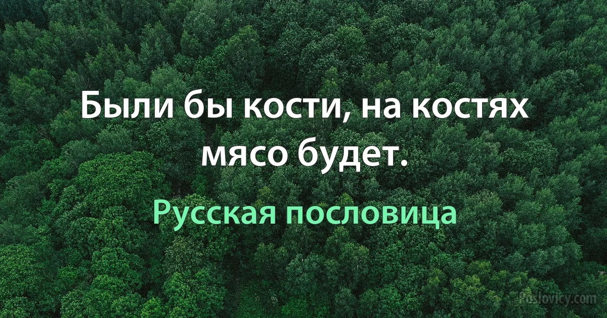 Были бы кости, на костях мясо будет. (Русская пословица)