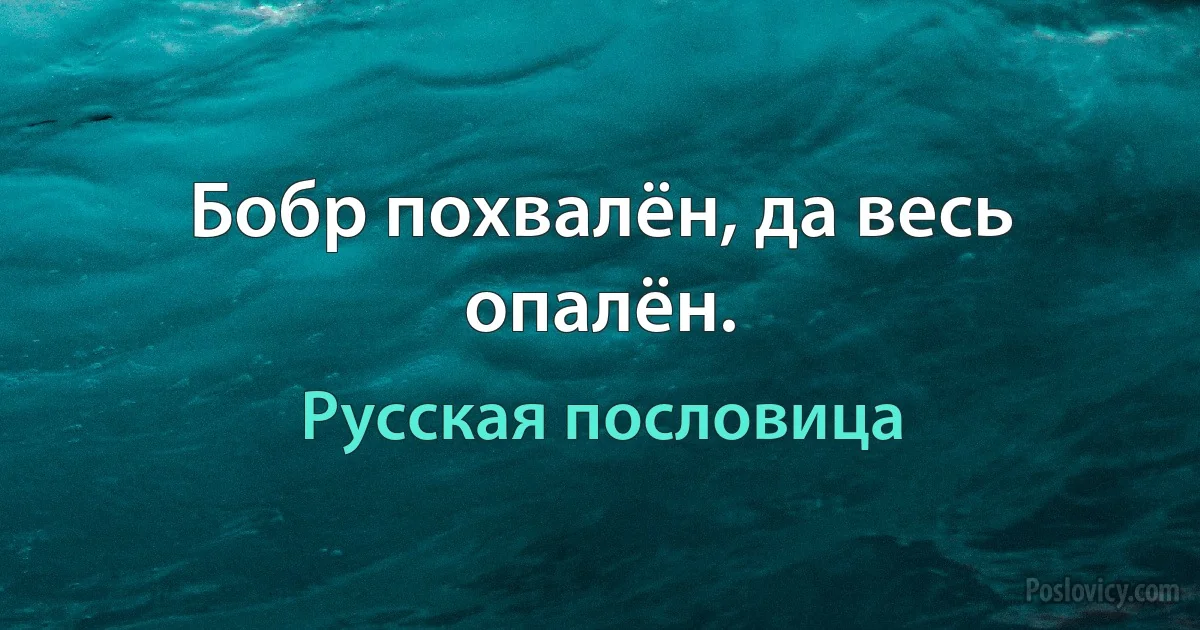 Бобр похвалён, да весь опалён. (Русская пословица)