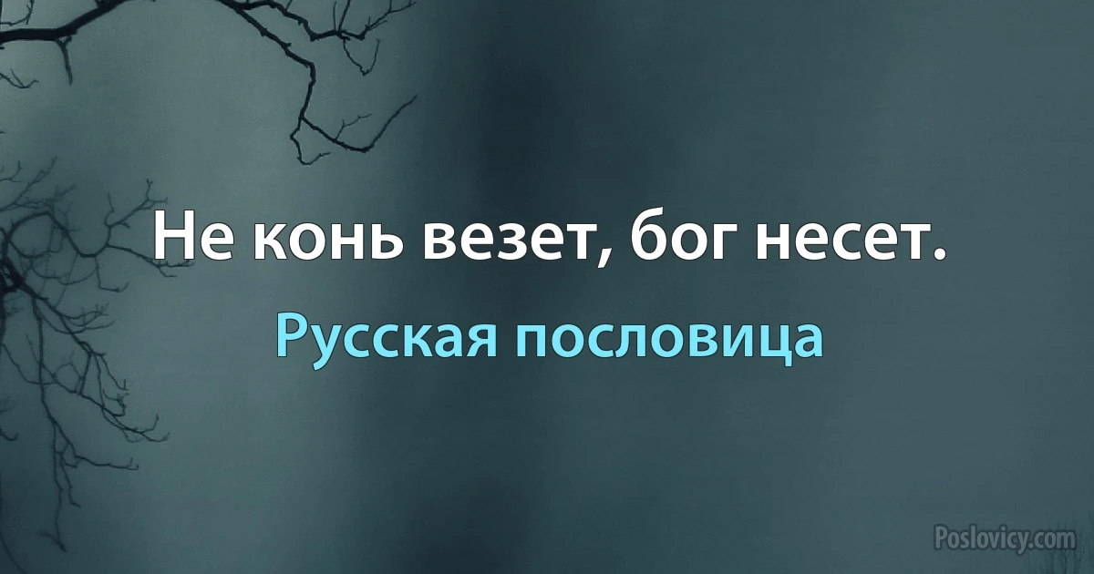 Не конь везет, бог несет. (Русская пословица)