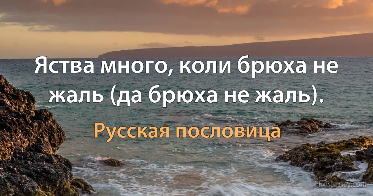 Яства много, коли брюха не жаль (да брюха не жаль). (Русская пословица)