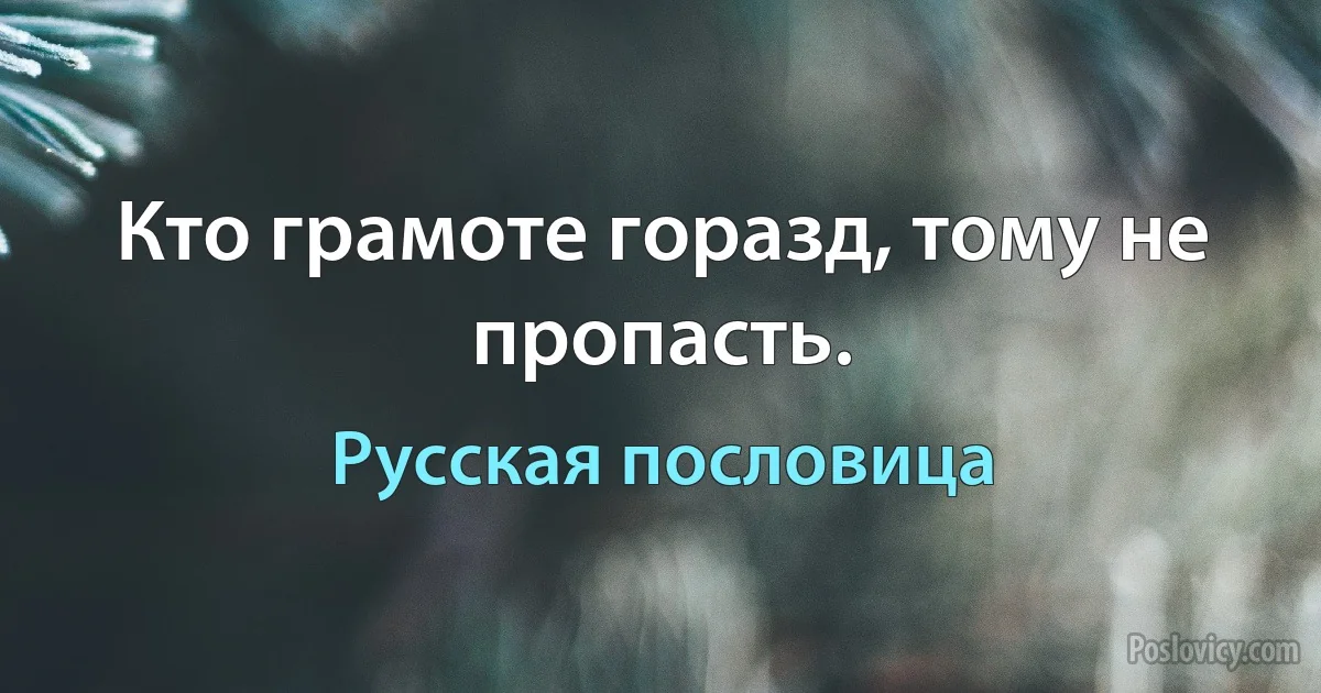 Кто грамоте горазд, тому не пропасть. (Русская пословица)