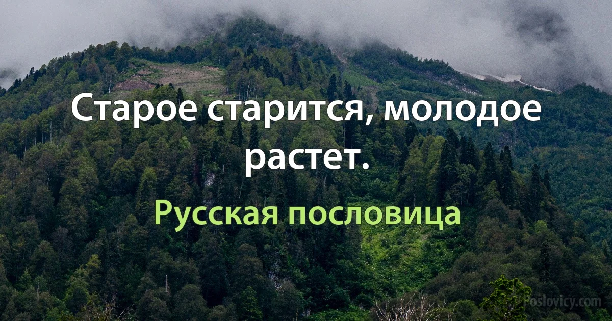 Старое старится, молодое растет. (Русская пословица)