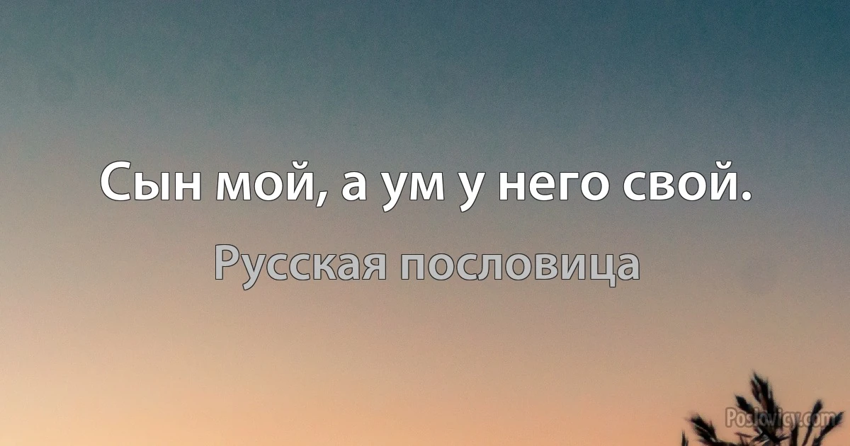 Сын мой, а ум у него свой. (Русская пословица)