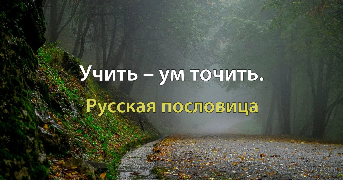 Учить – ум точить. (Русская пословица)