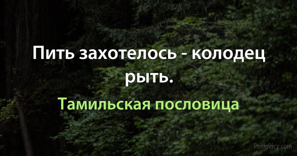 Пить захотелось - колодец рыть. (Тамильская пословица)