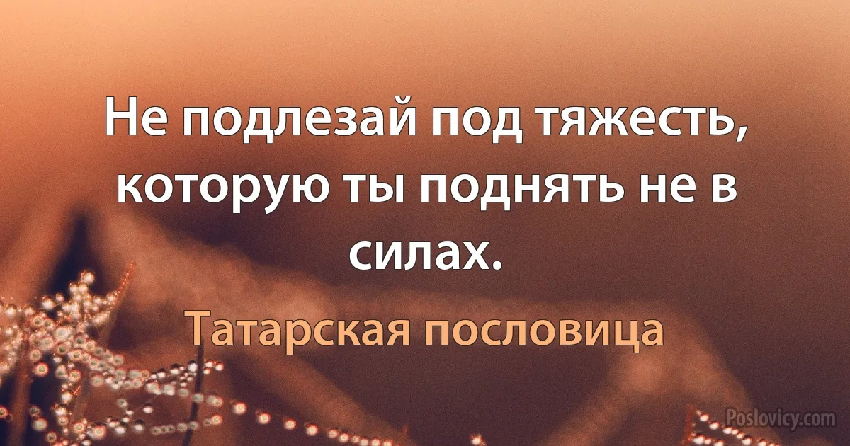 Не подлезай под тяжесть, которую ты поднять не в силах. (Татарская пословица)