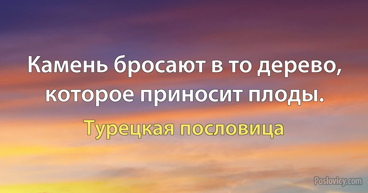 Камень бросают в то дерево, которое приносит плоды. (Турецкая пословица)