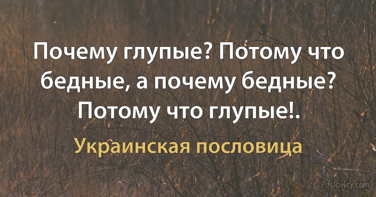 Почему глупые? Потому что бедные, а почему бедные? Потому что глупые!. (Украинская пословица)