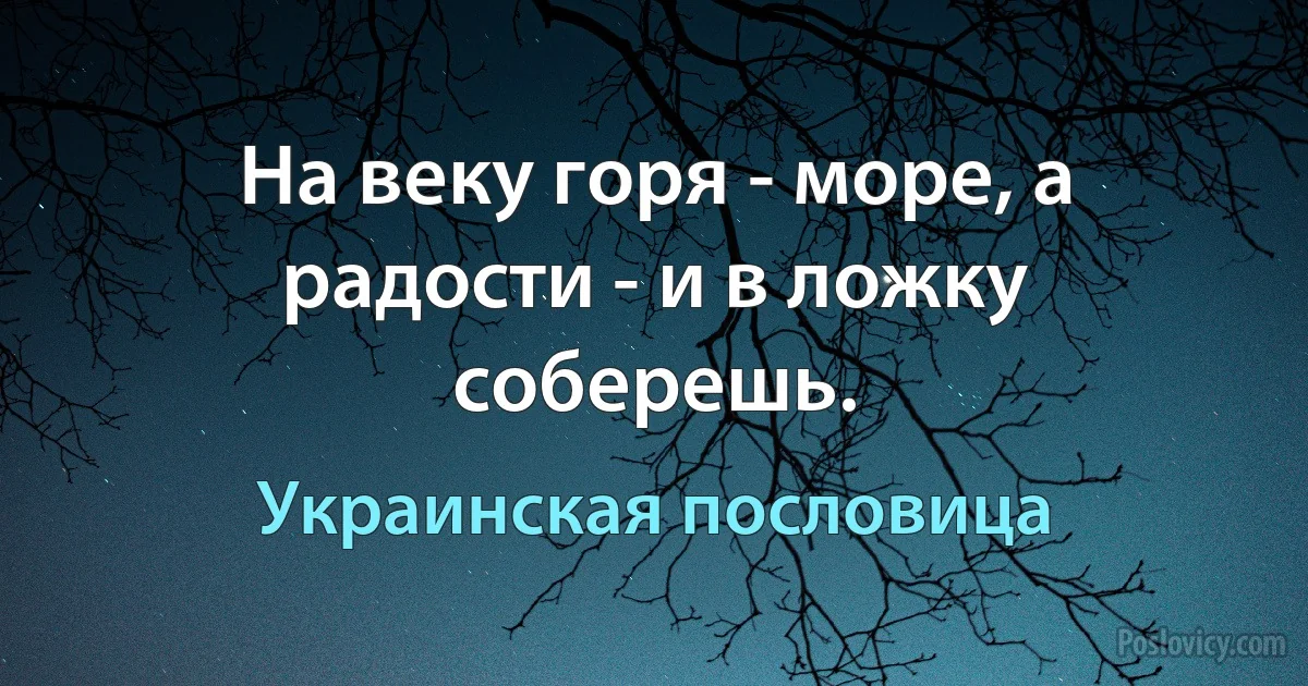 На веку горя - море, а радости - и в ложку соберешь. (Украинская пословица)