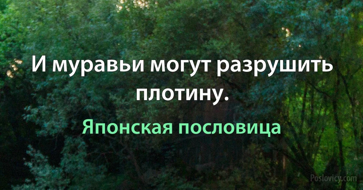 И муравьи могут разрушить плотину. (Японская пословица)