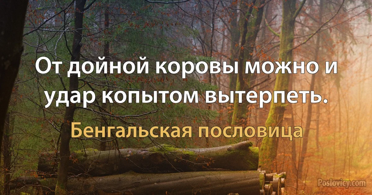 От дойной коровы можно и удар копытом вытерпеть. (Бенгальская пословица)