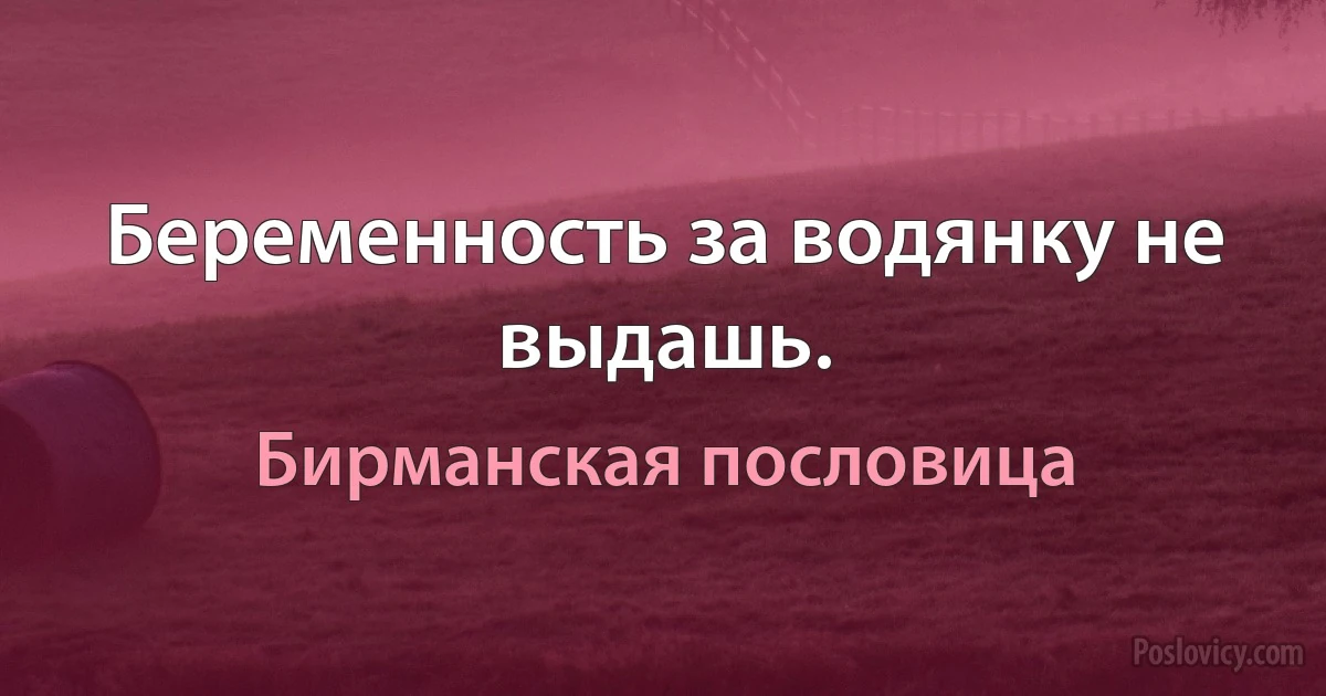 Беременность за водянку не выдашь. (Бирманская пословица)