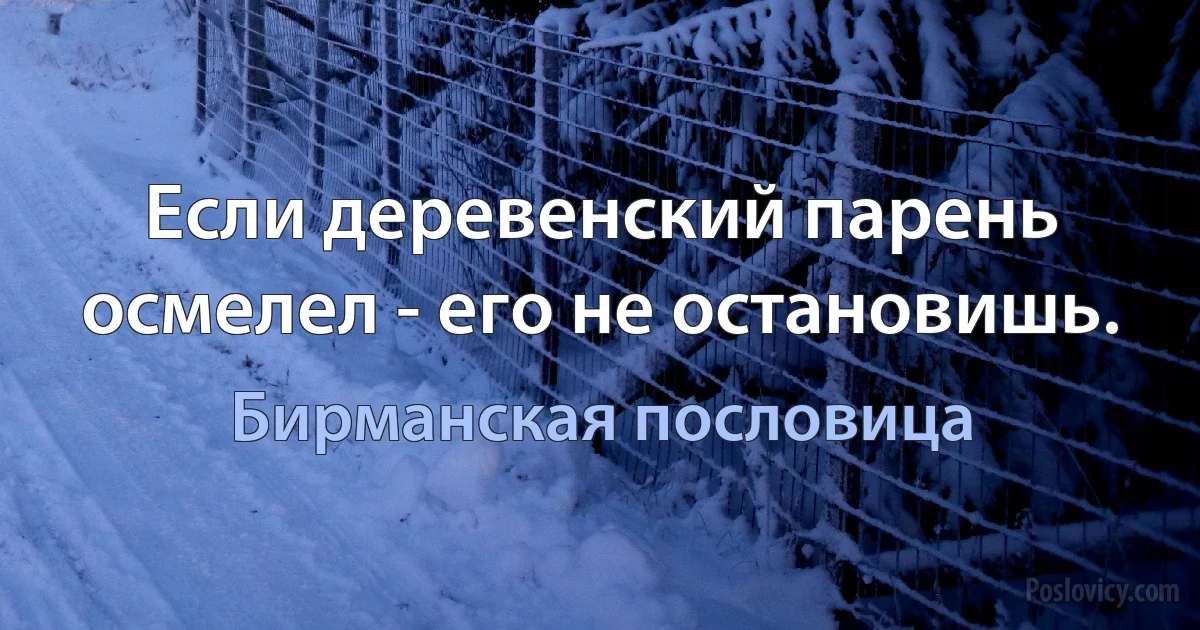 Если деревенский парень осмелел - его не остановишь. (Бирманская пословица)