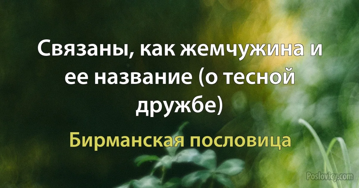 Связаны, как жемчужина и ее название (о тесной дружбе) (Бирманская пословица)