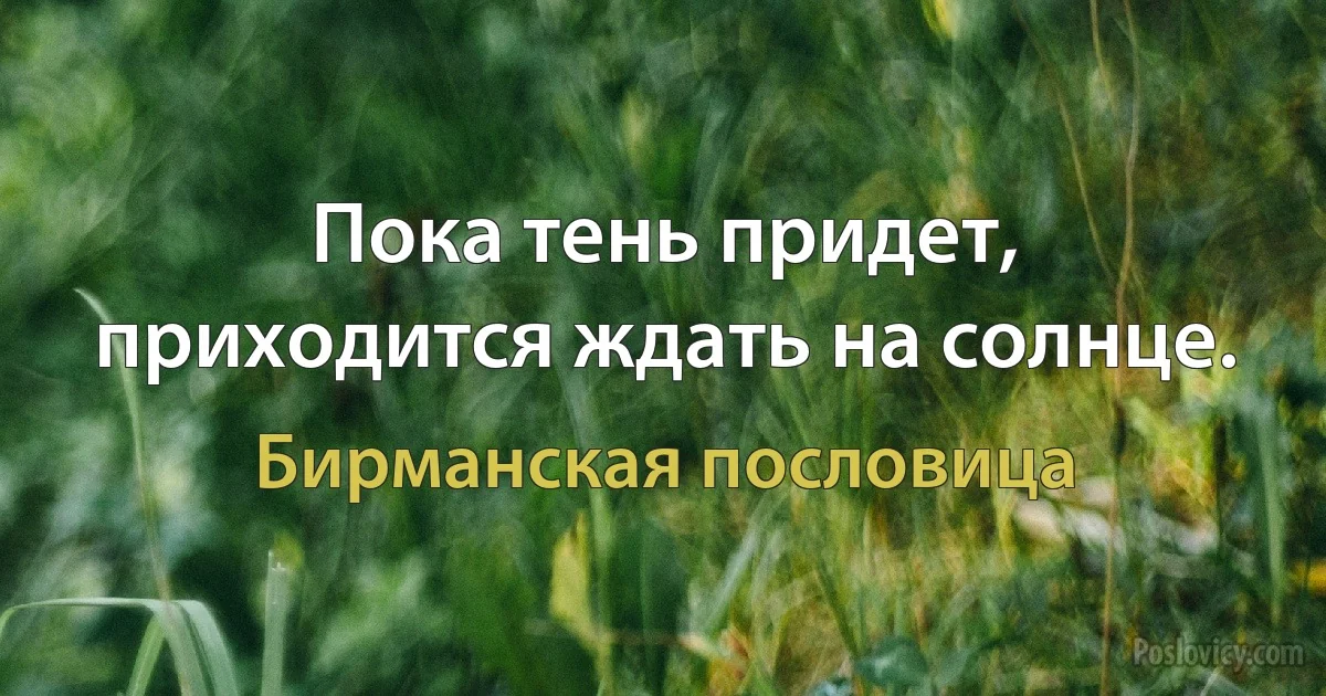 Пока тень придет, приходится ждать на солнце. (Бирманская пословица)