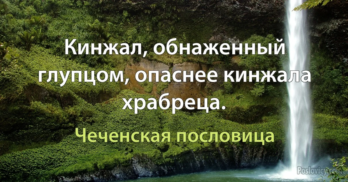 Кинжал, обнаженный глупцом, опаснее кинжала храбреца. (Чеченская пословица)