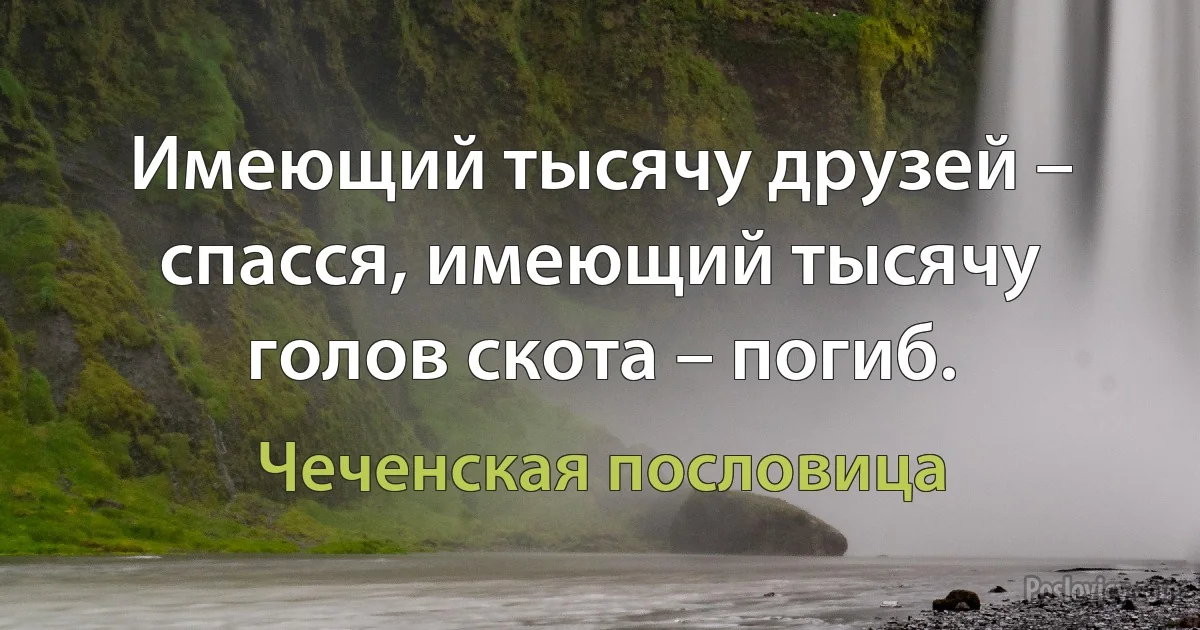 Имеющий тысячу друзей – спасся, имеющий тысячу голов скота – погиб. (Чеченская пословица)