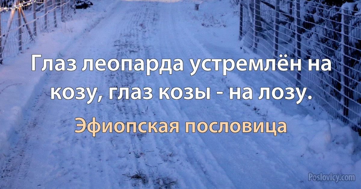 Глаз леопарда устремлён на козу, глаз козы - на лозу. (Эфиопская пословица)