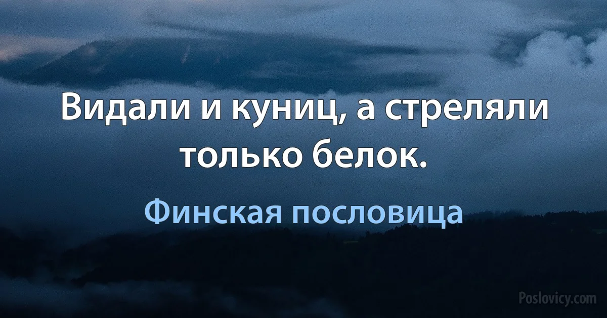 Видали и куниц, а стреляли только белок. (Финская пословица)