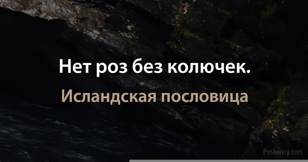 Нет роз без колючек. (Исландская пословица)