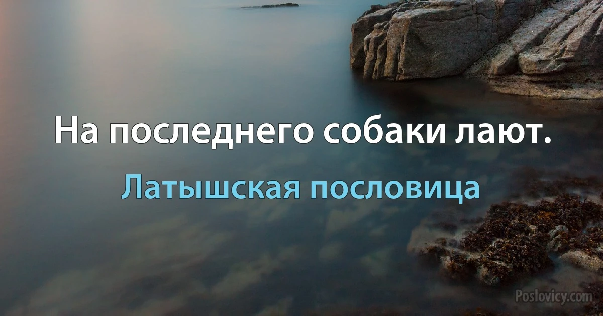 На последнего собаки лают. (Латышская пословица)