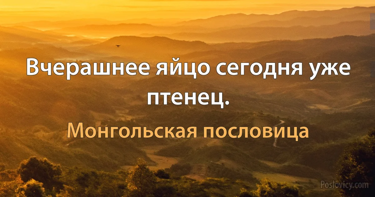 Вчерашнее яйцо сегодня уже птенец. (Монгольская пословица)