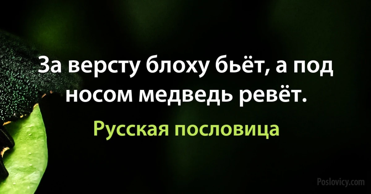 За версту блоху бьёт, а под носом медведь ревёт. (Русская пословица)