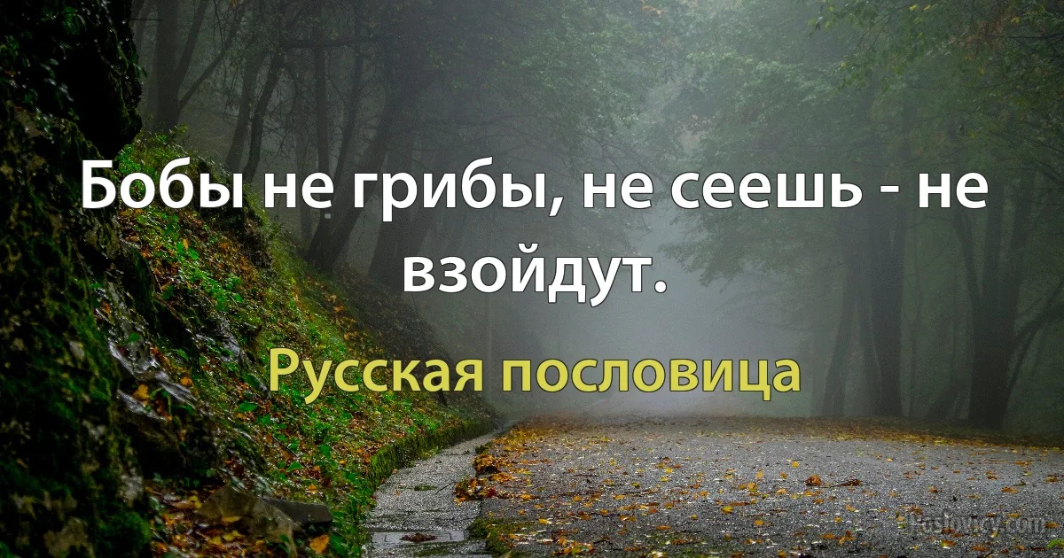 Бобы не грибы, не сеешь - не взойдут. (Русская пословица)