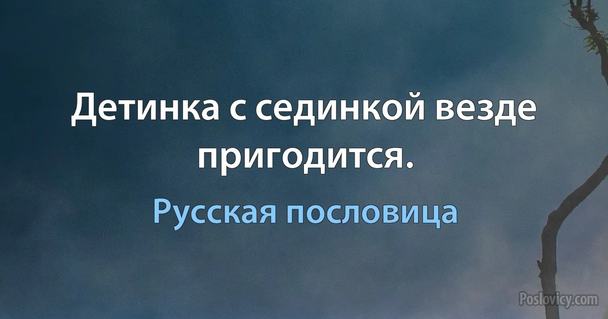 Детинка с сединкой везде пригодится. (Русская пословица)