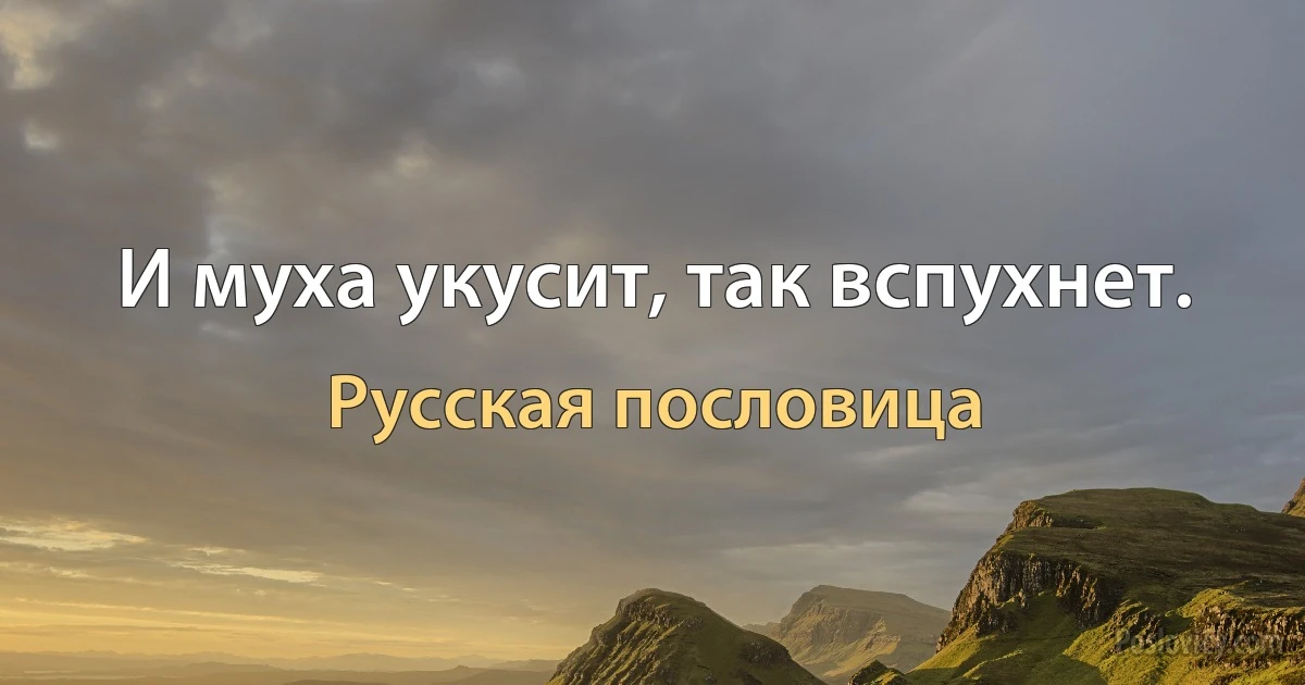 И муха укусит, так вспухнет. (Русская пословица)