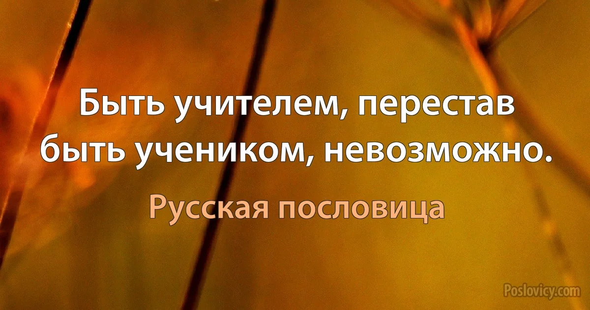 Быть учителем, перестав быть учеником, невозможно. (Русская пословица)