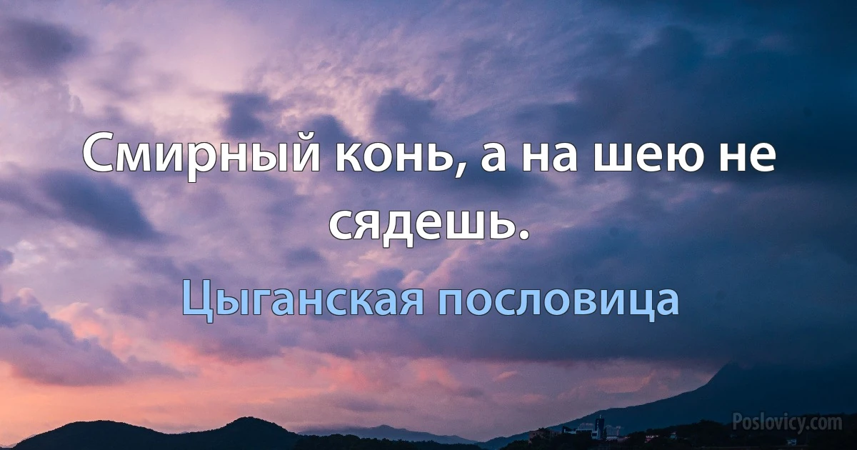 Смирный конь, а на шею не сядешь. (Цыганская пословица)