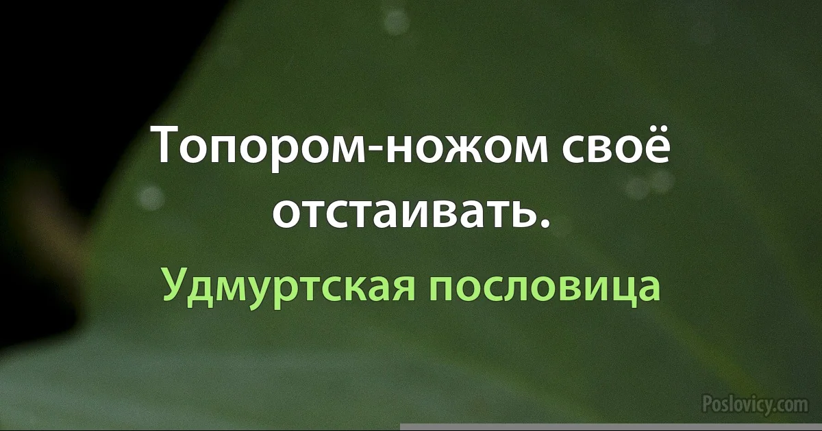 Топором-ножом своё отстаивать. (Удмуртская пословица)