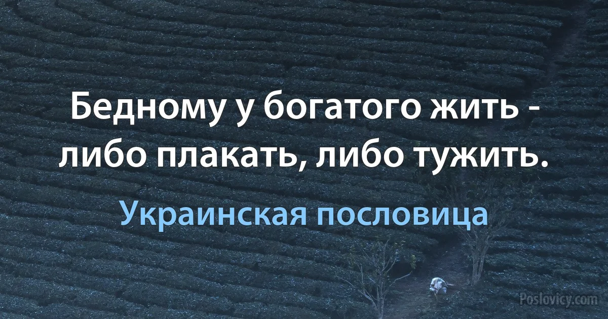 Бедному у богатого жить - либо плакать, либо тужить. (Украинская пословица)