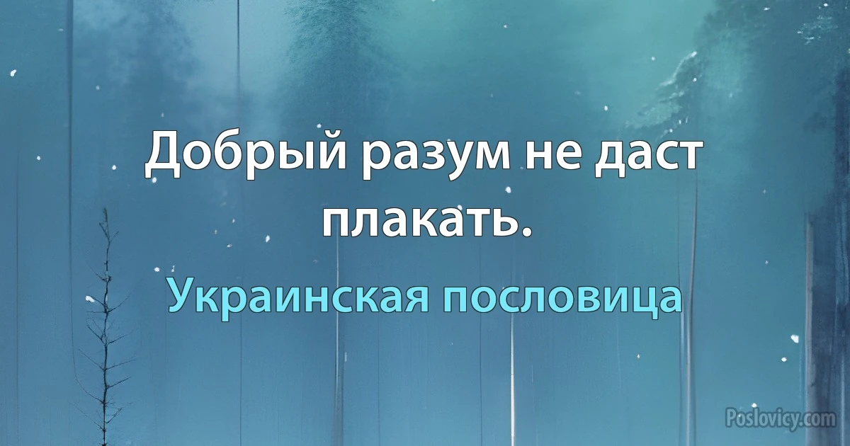 Добрый разум не даст плакать. (Украинская пословица)