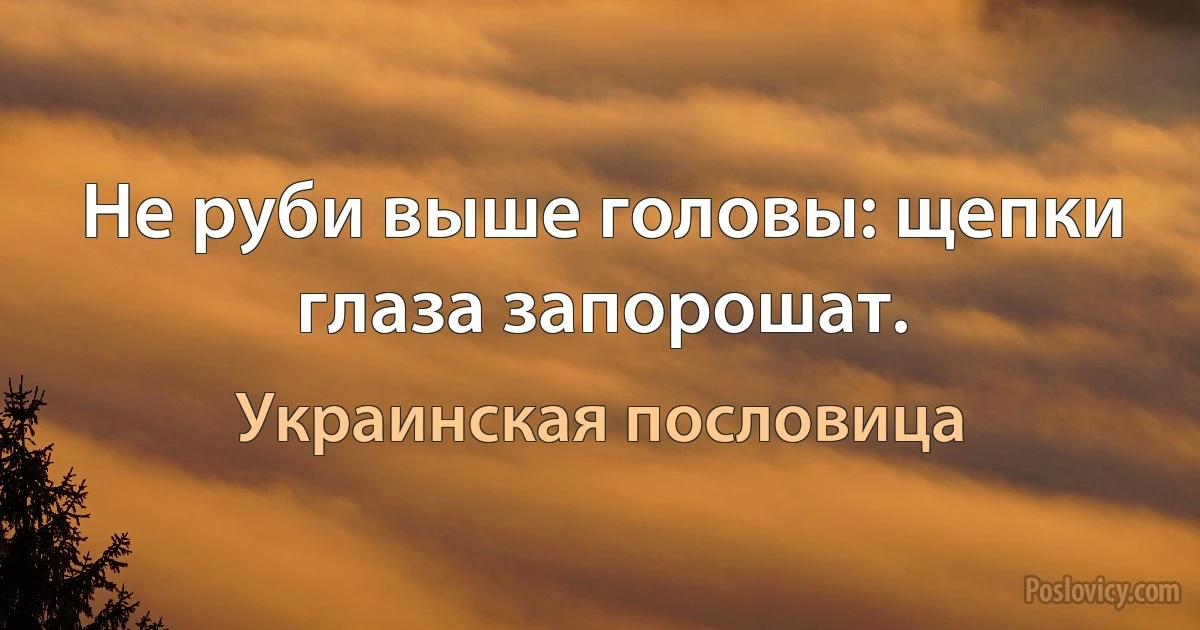 Не руби выше головы: щепки глаза запорошат. (Украинская пословица)