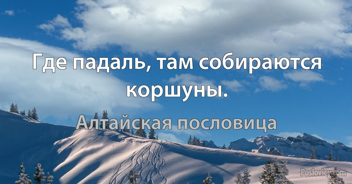 Где падаль, там собираются коршуны. (Алтайская пословица)