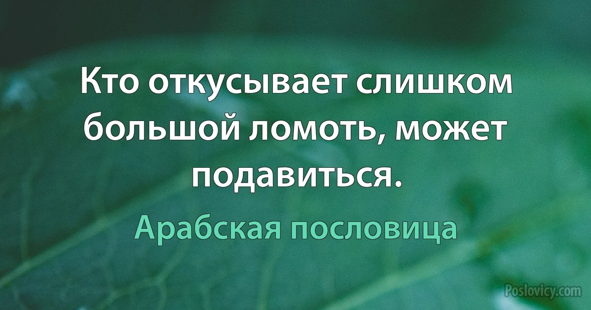 Кто откусывает слишком большой ломоть, может подавиться. (Арабская пословица)