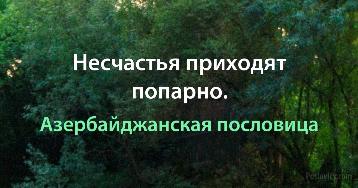 Несчастья приходят попарно. (Азербайджанская пословица)