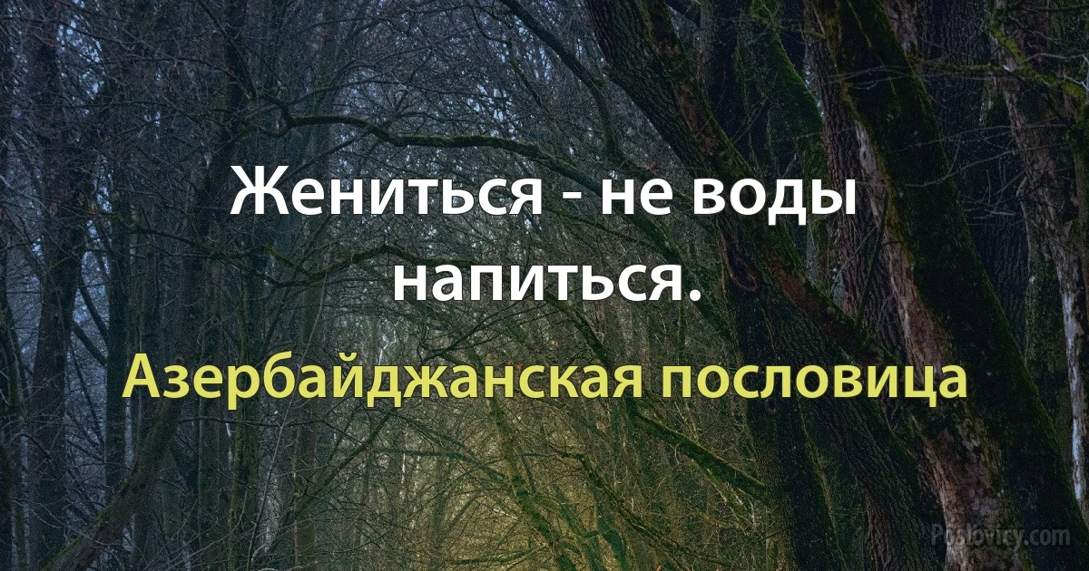 Жениться - не воды напиться. (Азербайджанская пословица)